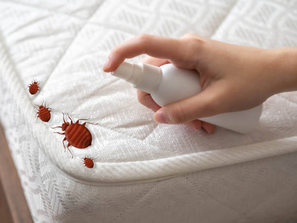 Best Emergency Pest Control  in Rugby, ND